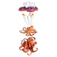 Bothyi - Conjunto De Ciclo De Crecimiento De Pulpo Ciclo De Crecimiento Animal Para Niños De 3, 4, 5 Y 6 Años