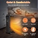 thumbnail image 3 of Calentador de radiador lleno de aceite COSTWAY 1500 W con ruedas de 3 niveles, 3 of 3