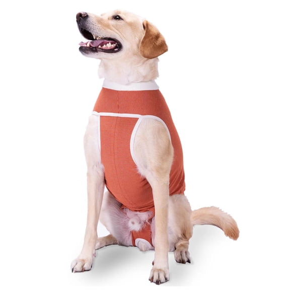 BODY COBRE KIMBA TRADICIONAL TALLA 9 (21 A 25 KG) naranja