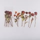 thumbnail image 5 of 6pcs/pack Flower Shop Series Decorative Stickers - Perfect for Scrapbooking, Labeling, Diary Albums & More!, 5 of 5