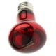 thumbnail image 4 of Lámpara Infrarroja De Calefacción Para Mascotas De Vidrio Bombilla De Lámpara De Emisor De Calor De Invierno E27 Rojo 75W, 4 of 5