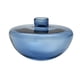 thumbnail image 4 of Jarrón de cristal para flores, contenedor para plantas, decoración del hogar, arreglo floral, jarrón hidropónico para cafetería, armario, estantería, Azul, 4 of 5