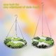 thumbnail image 5 of Cama colgante para reptiles Slepceub de 30 cm – Hamaca para lagartos, 5 of 6