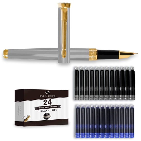 Pluma estilográfica Dryden Designs con punta fina plateada y 24 cartuchos de tinta