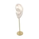 thumbnail image 4 of Soporte de exhibición de aretes, organizador de joyas, modelo de oreja, soporte de perno, accesorios de exhibición de fotografía, soporte de maniquí d Oído Izquierdo Blanco, 4 of 5
