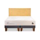 thumbnail image 1 of Cama Europea Cocopedic 2 Plaza Base Dividida, 1 of 11