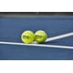 thumbnail image 5 of Pelotas de tenis WILSON Triniti Pro 3 pelotas amarillas, 5 of 8