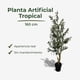 thumbnail image 3 of Planta Artificial Olivo Diseño Realista 160 cm, 3 of 8