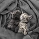 thumbnail image 4 of Blanket Utopia Bedding, forro polar, tamaño king, color gris, 300 g/m², microfibra, 4 of 9