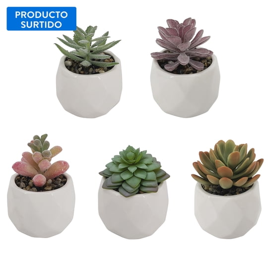 Planta Suculenta Artificial Expert Gardener
