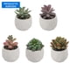 thumbnail image 1 of Planta suculenta artificial, 1 of 4
