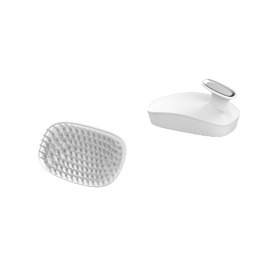 Scalp Born - Cepillo Coreano Especial Para Lavado De Cabello, Shampoo Brush (plata : Normal/grasa) -