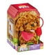 thumbnail image 1 of Peluche Pitter Patter Pets Cocker Camina Y Ladra, 1 of 4