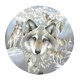 thumbnail image 5 of Kit de punto de cruz estampado para principiantes Patrón de lobo impreso 11CT 48 x 48 cm, 5 of 5