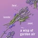 thumbnail image 4 of Aerosol ambientador Febreze Air Mist Twilight Lavender 240 ml, 4 of 9