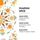 thumbnail image 2 of Recarga de fragancia MAISON BERGER Pumpkin Spice 1L para Lampe Berger, 2 of 9