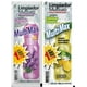 thumbnail image 3 of Limpia Pisos Ultra Concentrado Pack 12 Litros Para Diluir Rinde 1 Lt C/u X 35 Ml, 3 of 3