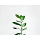 thumbnail image 1 of variante_Calzado_ShoeSize_3, 1 of 2