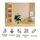thumbnail image 3 of Planta Artificial Decorativa Interior 75 cm de Alto, 3 of 4