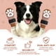 thumbnail image 3 of Calcetines para perros Bixie XL (paquete de 6) - Protector antideslizante para patas, 3 of 6