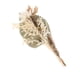 thumbnail image 4 of Hojas s Pampas Grass 40cm Bundle Branches Palm Reed Bouquet Mixto para fiesta Boda Fotografía Arreglos florales Decoración Conjunto A, 4 of 5