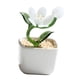 thumbnail image 5 of Planta En Maceta Estatua De Vidrio Estatuilla Regalo Decorativo Flores Artificiales En Maceta Blanco, 5 of 5