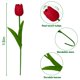 thumbnail image 2 of Tulipanes artificiales Nature’s Mimic 33 cm Rojo 20 unidades PU, 2 of 9