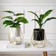 thumbnail image 3 of Porta Macetero Pedestal Maceta Plantas Metalico Decorativo negro, 3 of 9