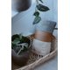 thumbnail image 3 of Toalla de mano BAY LAUREL 38 x 66 cm Gris – Pack de 2, 3 of 9