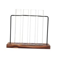 Bothyi - Florero De Tubo De Ensayo Para Flores, Florero De Vidrio Moderno Para Mesa, Sala De Estar, Interior