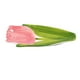 thumbnail image 4 of Plato Para Servir Con Forma De Flor, Frutero Para Sala De Estar, Cocina, Regalo De Boda, 4 of 5