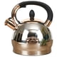thumbnail image 1 of Tetera LUXGRACE de acero inoxidable, 2,8 L, silbante, resistente al calor, 1 of 7