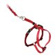 thumbnail image 1 of Arnés y correa elástica para gatos PetSafe Come with Me Kitty, 1 of 6