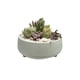 thumbnail image 1 of Macetero cemento Paila verde 16cm. diametro, 1 of 4