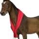 thumbnail image 1 of Bufanda de lana de Navidad para caballo, Santa Rojo Decoración Equestre Desfile de Navidad de vacaciones, para Decoración de Navidad Desfiles de fiesta suministros, 1 of 3