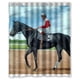 thumbnail image 1 of Cortina de ducha con diseño de caballo de carreras Ruffian, con ganchos, tamaño 60 x 72 pulgadas, 1 of 3
