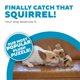 thumbnail image 2 of Juguete de peluche para perros Outward Hound Hide a Squirrel, pequeño, 2 of 6