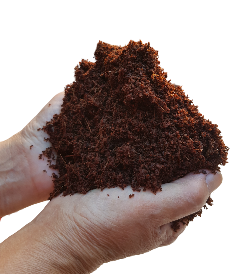 Genérico - Fibra De Coco 6 Litros