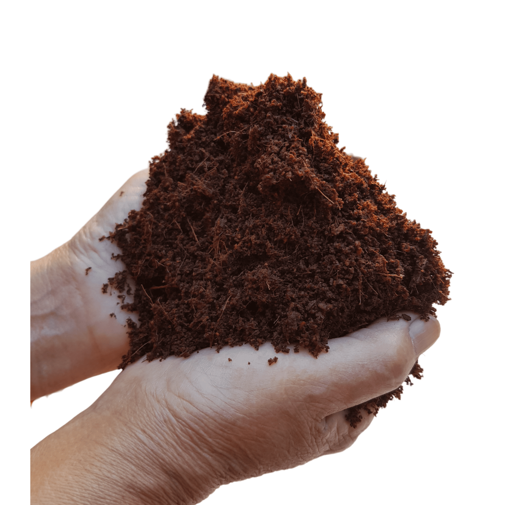 Genérico - Fibra De Coco 6 Litros