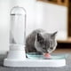 thumbnail image 1 of Fuente Dispensador Agua Kittyspring Bebedero Gatos Kitty, 1 of 3