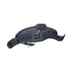 thumbnail image 1 of Arnés De Windsurf, Kayak, Deriva, Versátil, Antideslizante, Soporte Ajustable, XL, 1 of 5