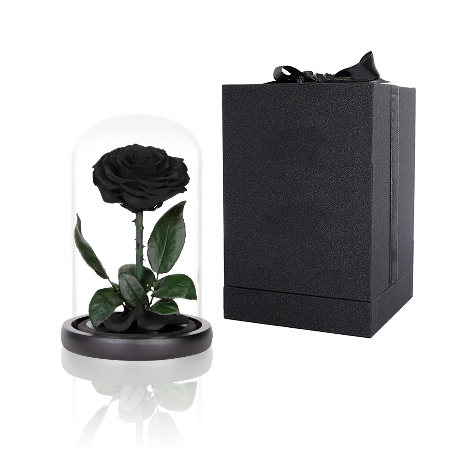 Rosas Preservadas En Cúpula De Cristal Perfectione Roses Black