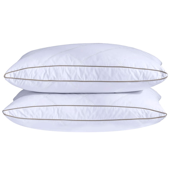 Almohadas Puredown Estándar Juego de 2