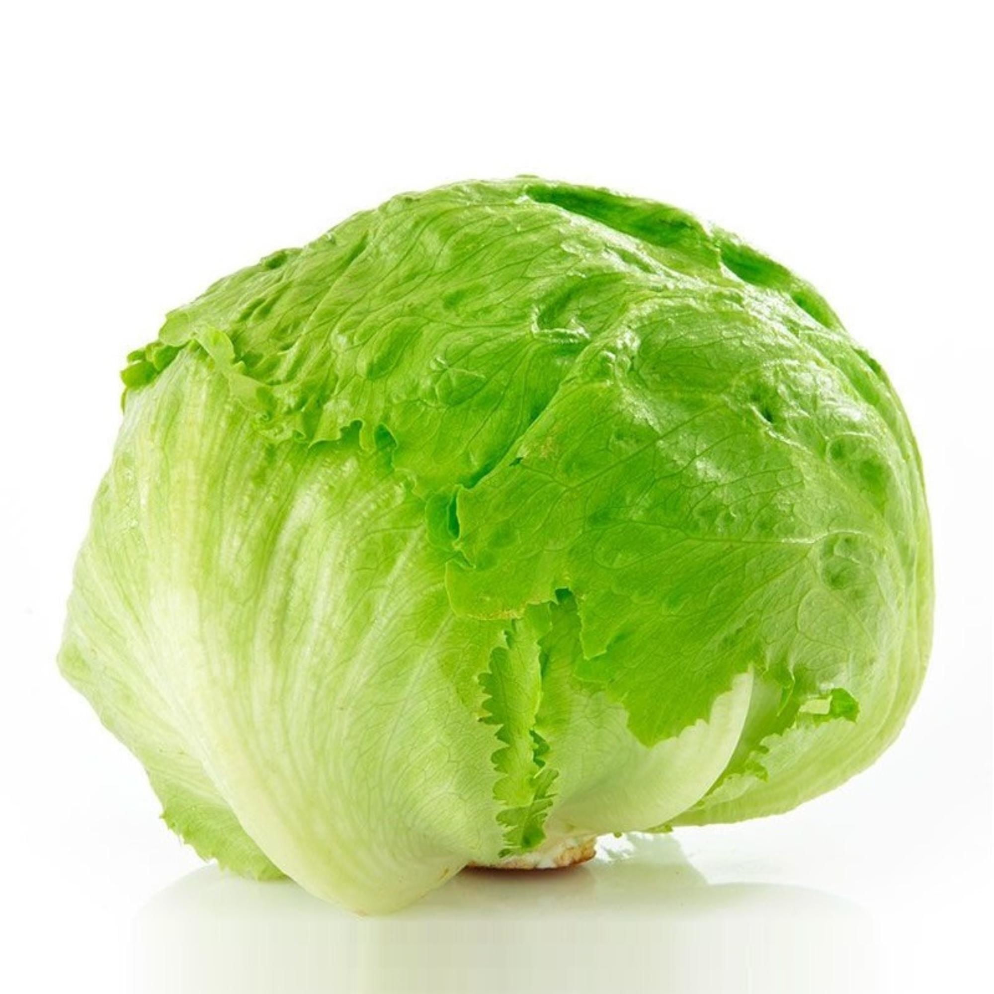 Lechuga Escarola Bolsa 1 Un