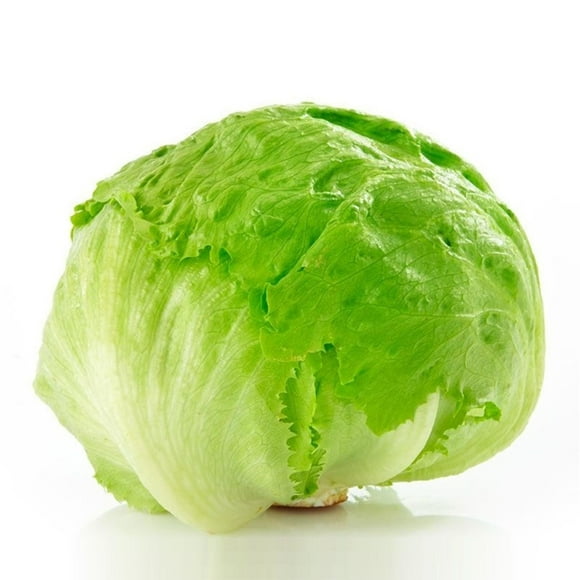 Lechuga Escarola Bolsa, 1 Un
