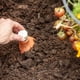 thumbnail image 3 of Olla de terracota autorregante Back to the Roots 700 mL, 3 of 6