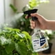 thumbnail image 4 of Rociador Pulverizador Transparente 500 ML Nobre, 4 of 4