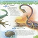 thumbnail image 3 of 501 preguntas y respuestas sobre dinosaurios, 3 of 6