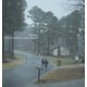 thumbnail image 1 of ABIS MUSIC Cobraside Prisoners (Vinilo LP), 1 of 1
