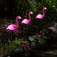 thumbnail image 2 of 3pcs Garden Outdoor Flamingo LED Stake Lights Solar Powered Waterproof For Garden, Lawn, Patio, Pond, Backyard Decor, Halloween Decorations Lights Outdoor, 2 of 4